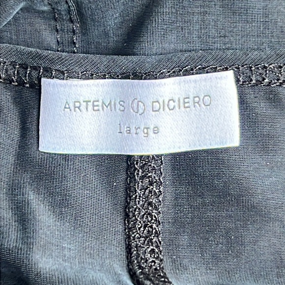 ARTEMIS DICIERO Stella Shift Dress - Brushed Black - Picture 8 of 10